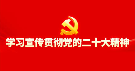 深入学习宣传贯彻党的二十大精神