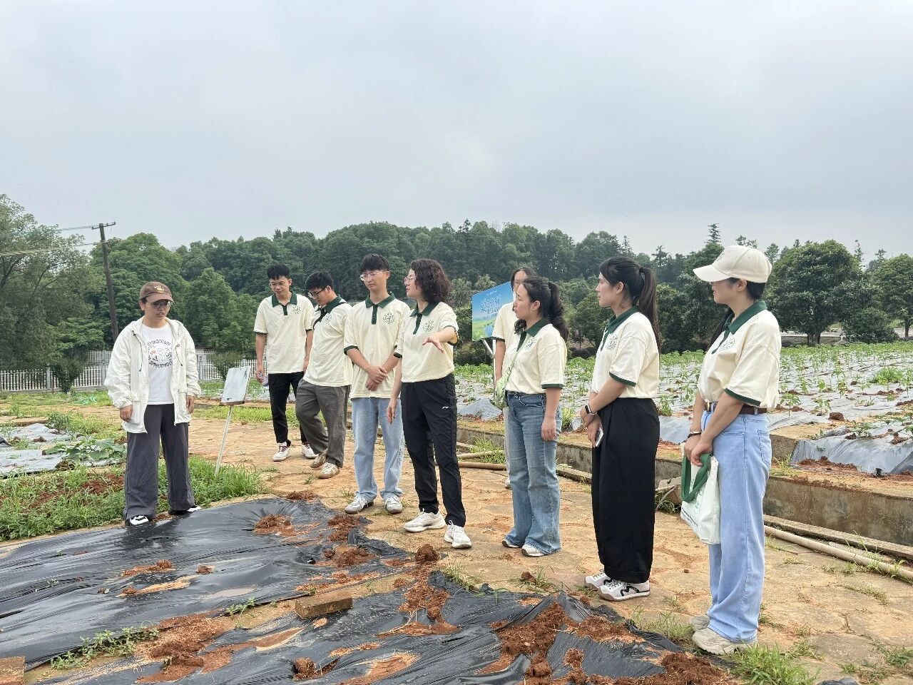 对标先进思路学习取经促提升——南宁市社会福利医院到长沙、广州开展精康服务专项考察学习