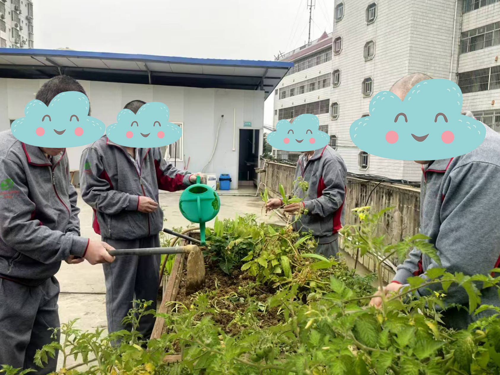 迎五一 春日疗愈——我院精神科多元活动赋能患者身心康复培训班开班啦!